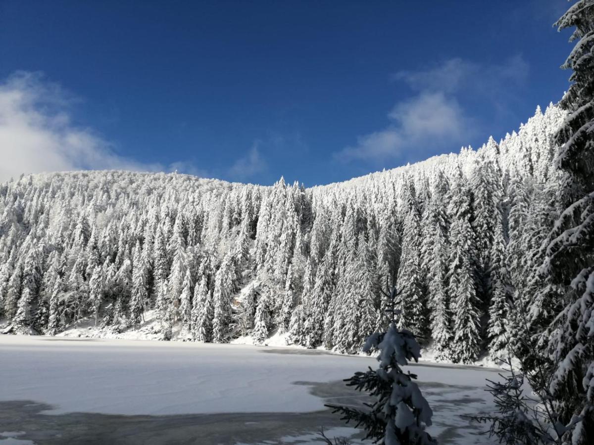 Apartmán Le Winzer Bergheim Exteriér fotografie