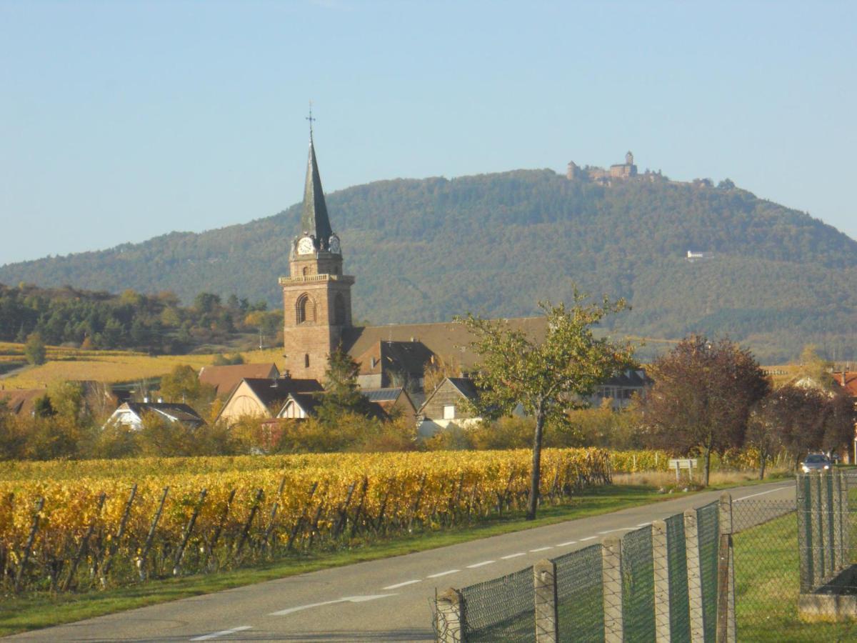 Apartmán Le Winzer Bergheim Exteriér fotografie